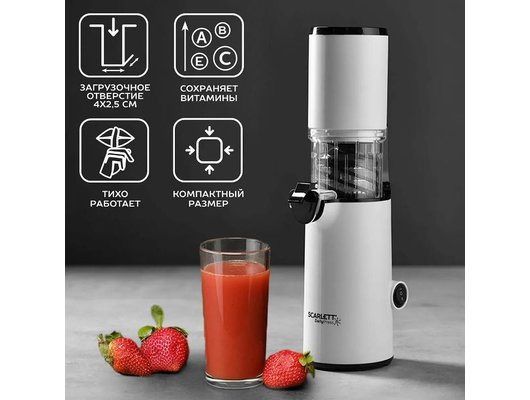 Шнековая соковыжималка Scarlett SC-JE50S59